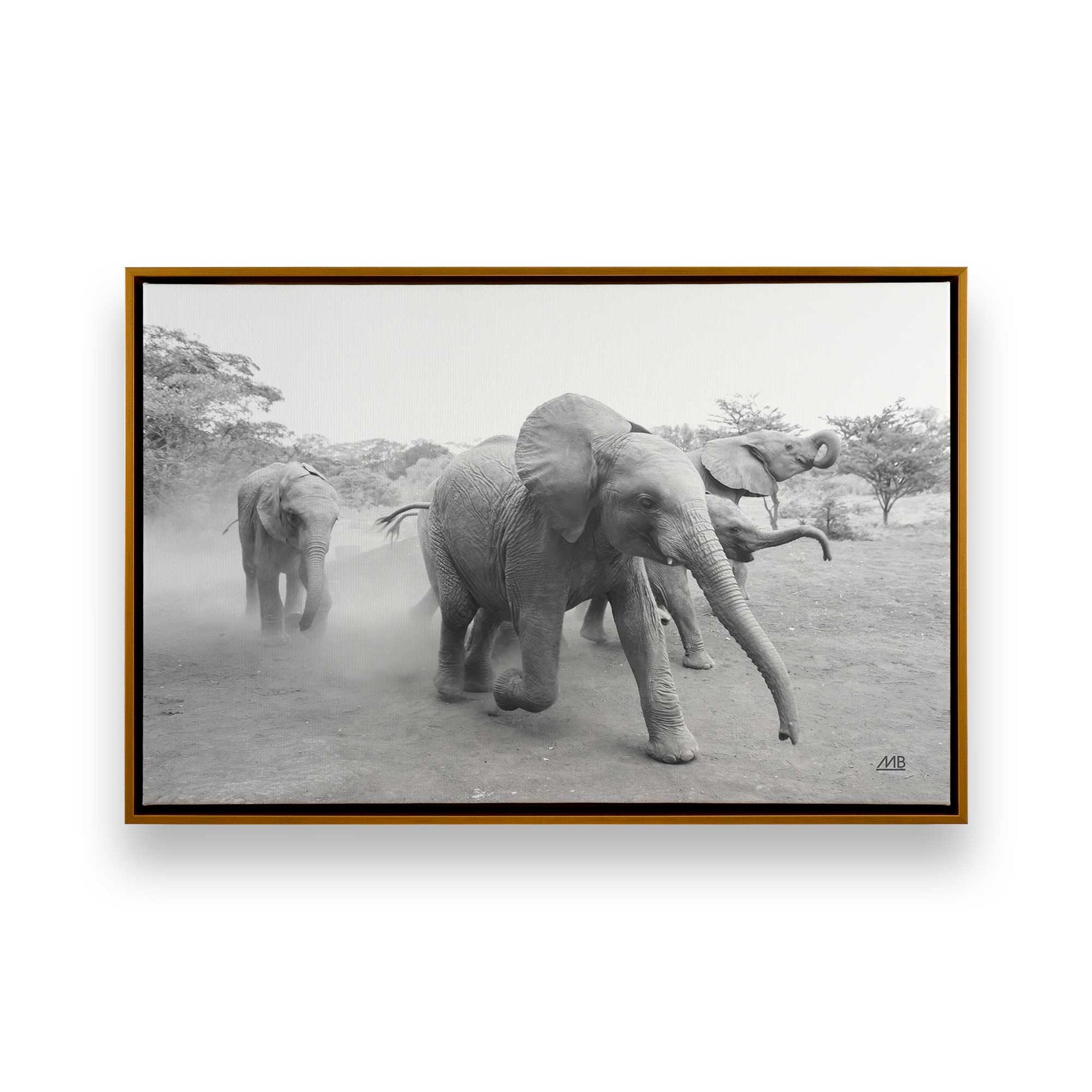 [Color:Polished Gold], Picture of art in a Polished Gold frame