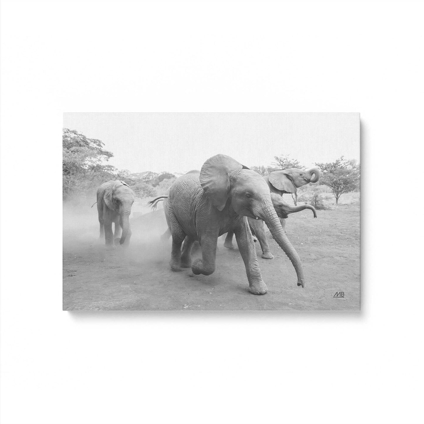 [Color:Stretched Canvas], Picture of art