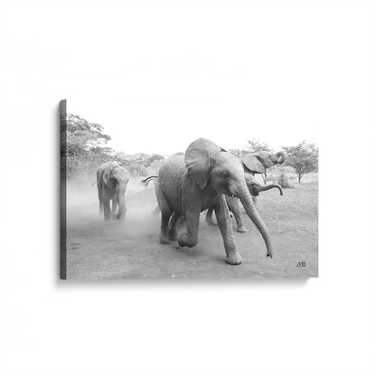 [Color:Stretched Canvas], Picture of art at an angle