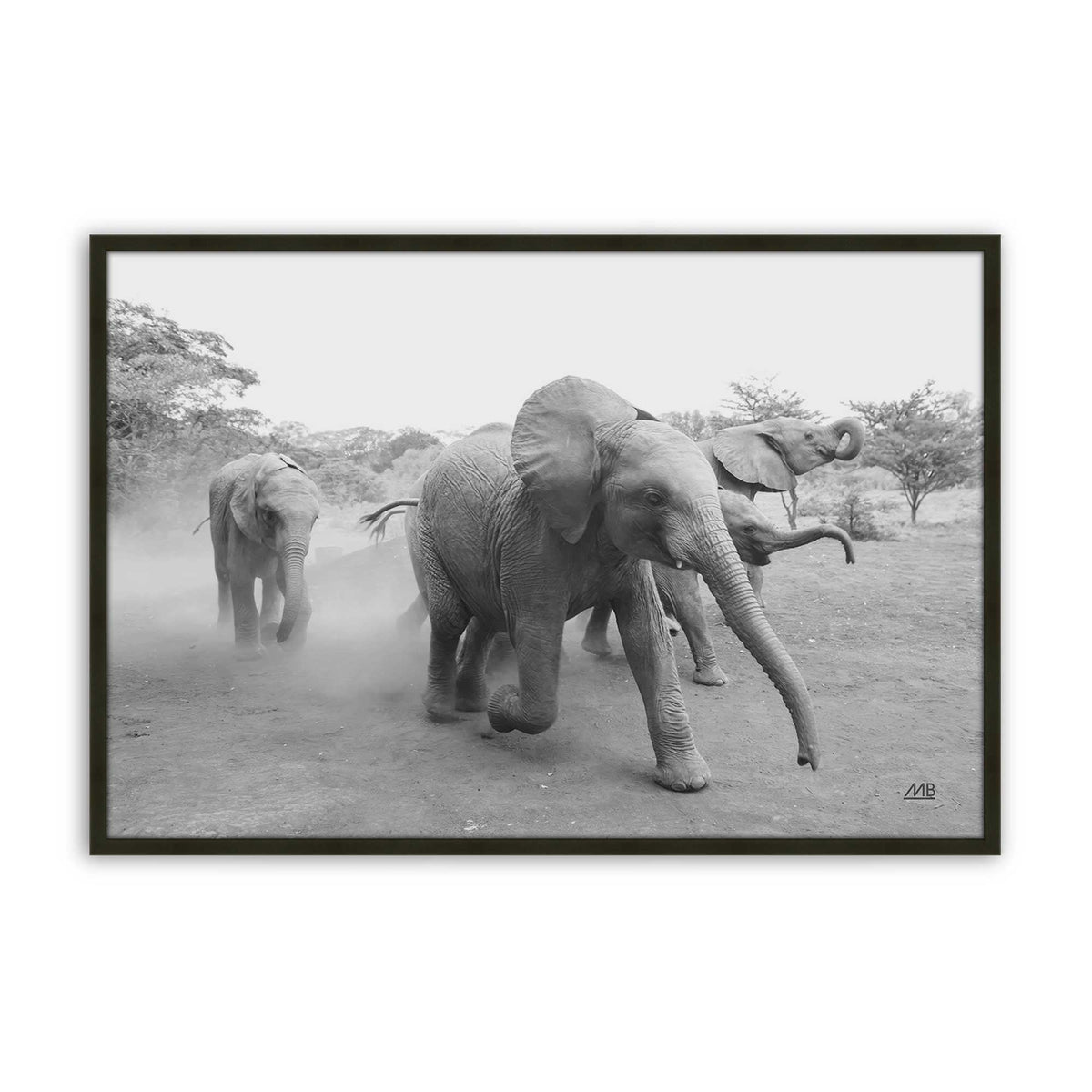[Color:Satin Black], Picture of art in a Satin Black frame