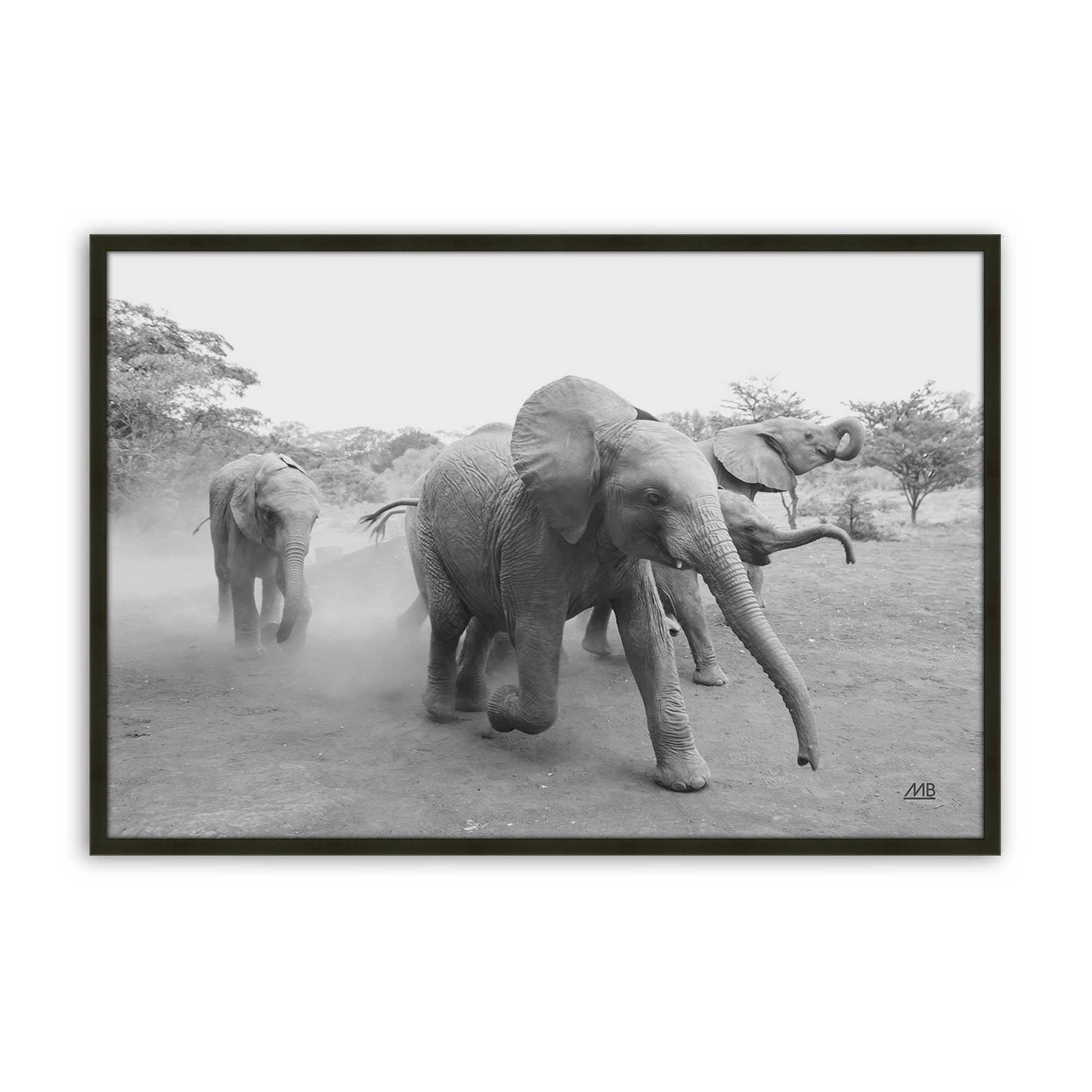 [Color:Satin Black], Front of the art