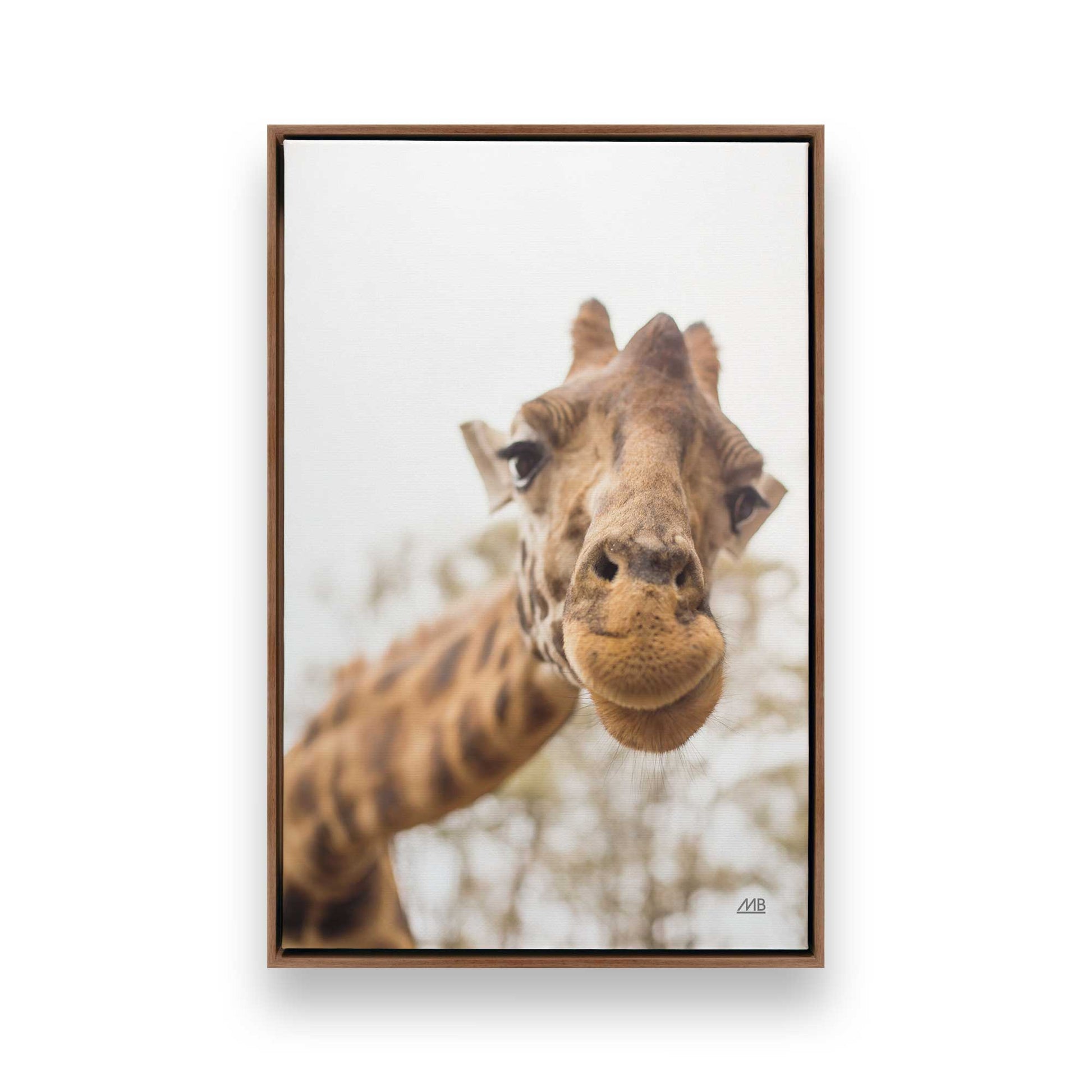 [Color:Walnut], Picture of art in a Walnut frame