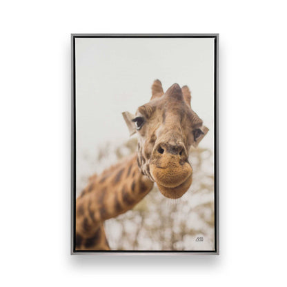 [Color:Polished Chrome], Picture of art in a Polished Chrome frame