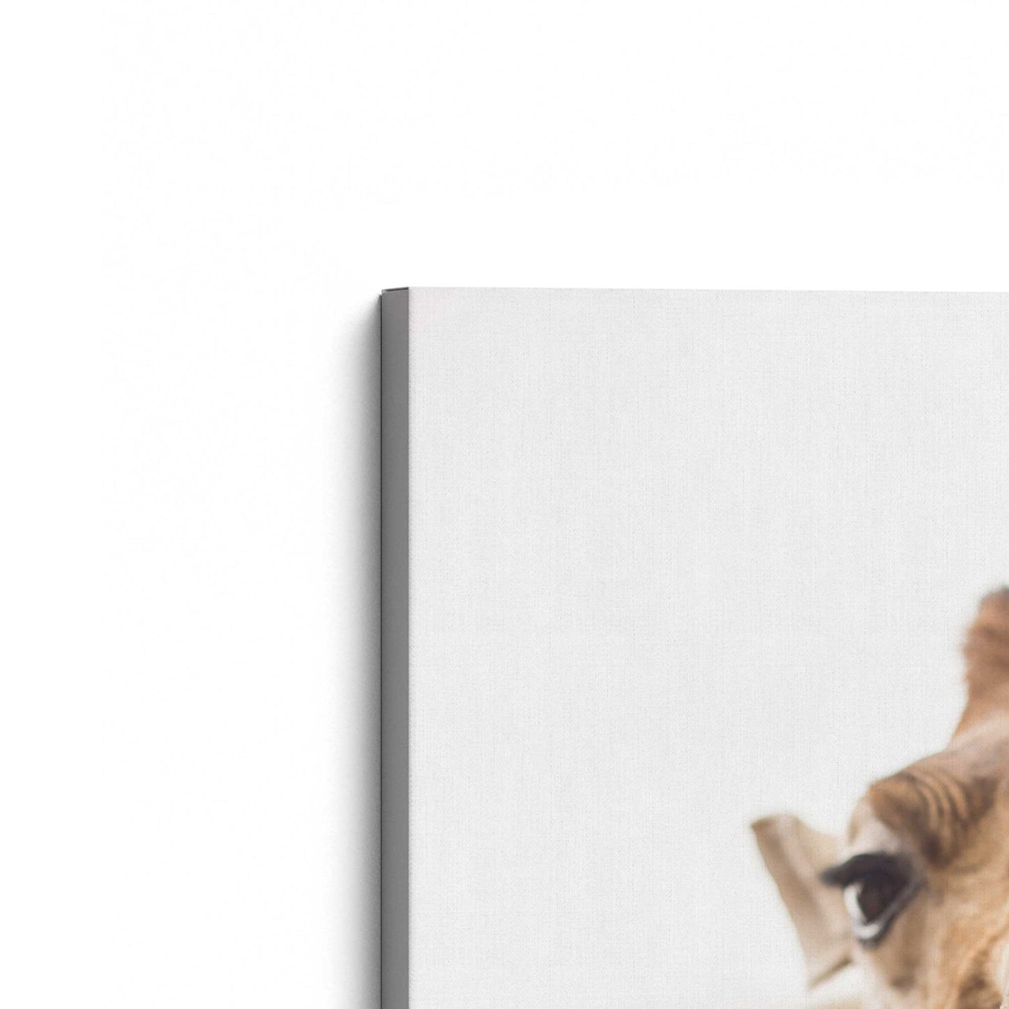 [Color:Stretched Canvas], Picture of the corner of the art