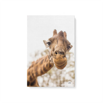 [Color:Stretched Canvas], Picture of art