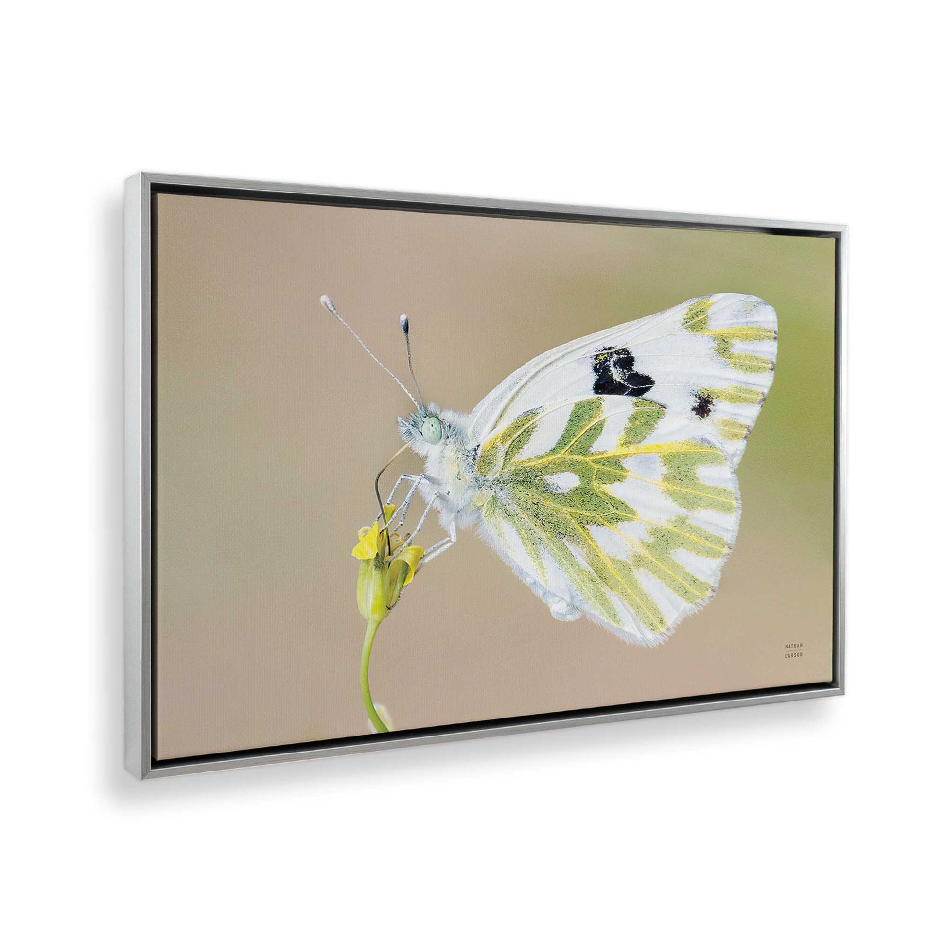 [Color:Polished Chrome], Picture of the corner of the art