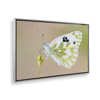 [Color:Polished Chrome], Picture of the corner of the art