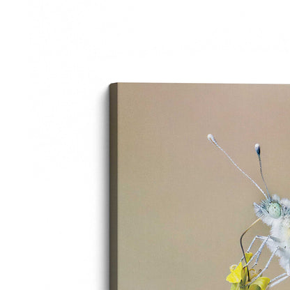 [Color:Stretched Canvas], Picture of the corner of the art