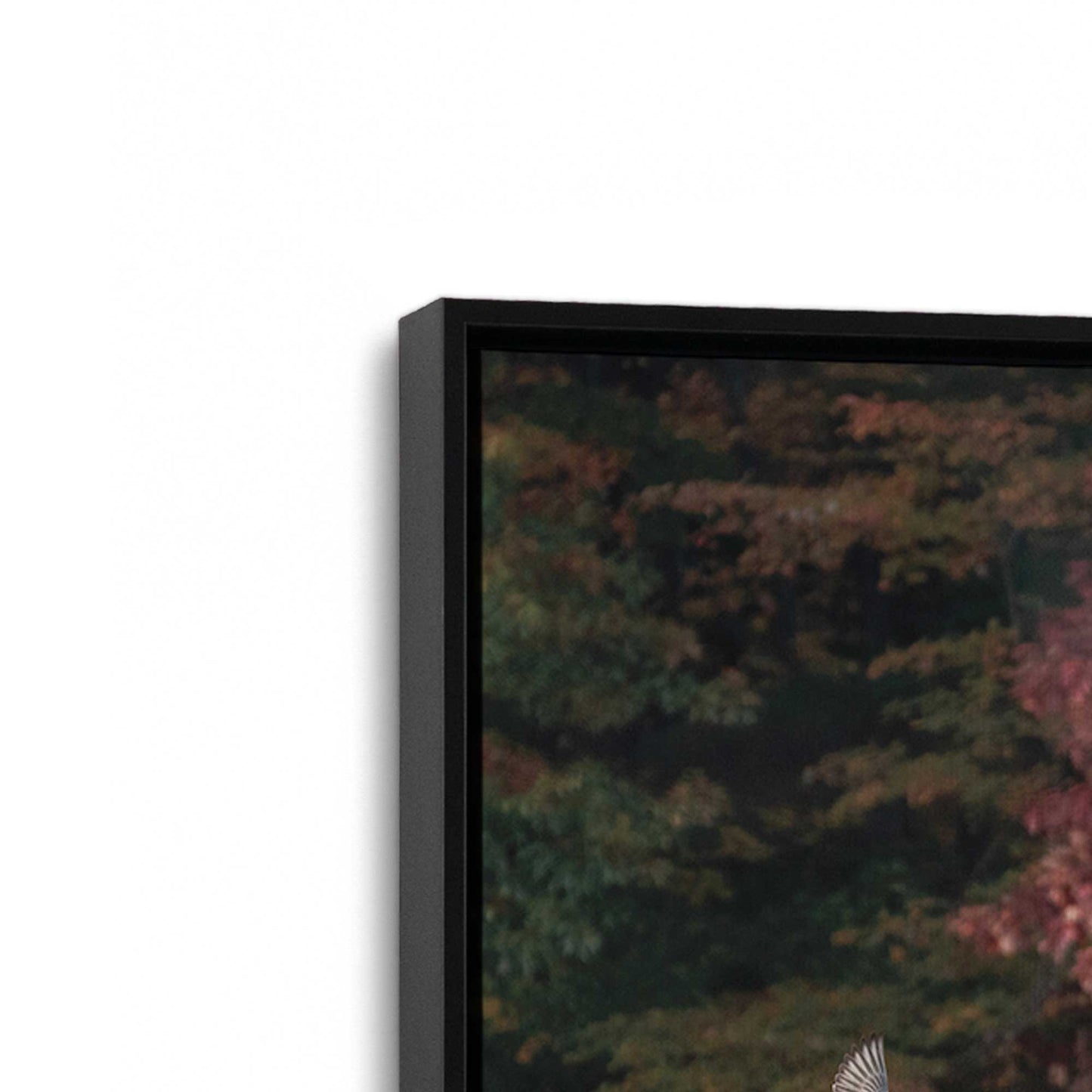 [Color:Satin Black], Picture of art in a Satin Black frame at an angle
