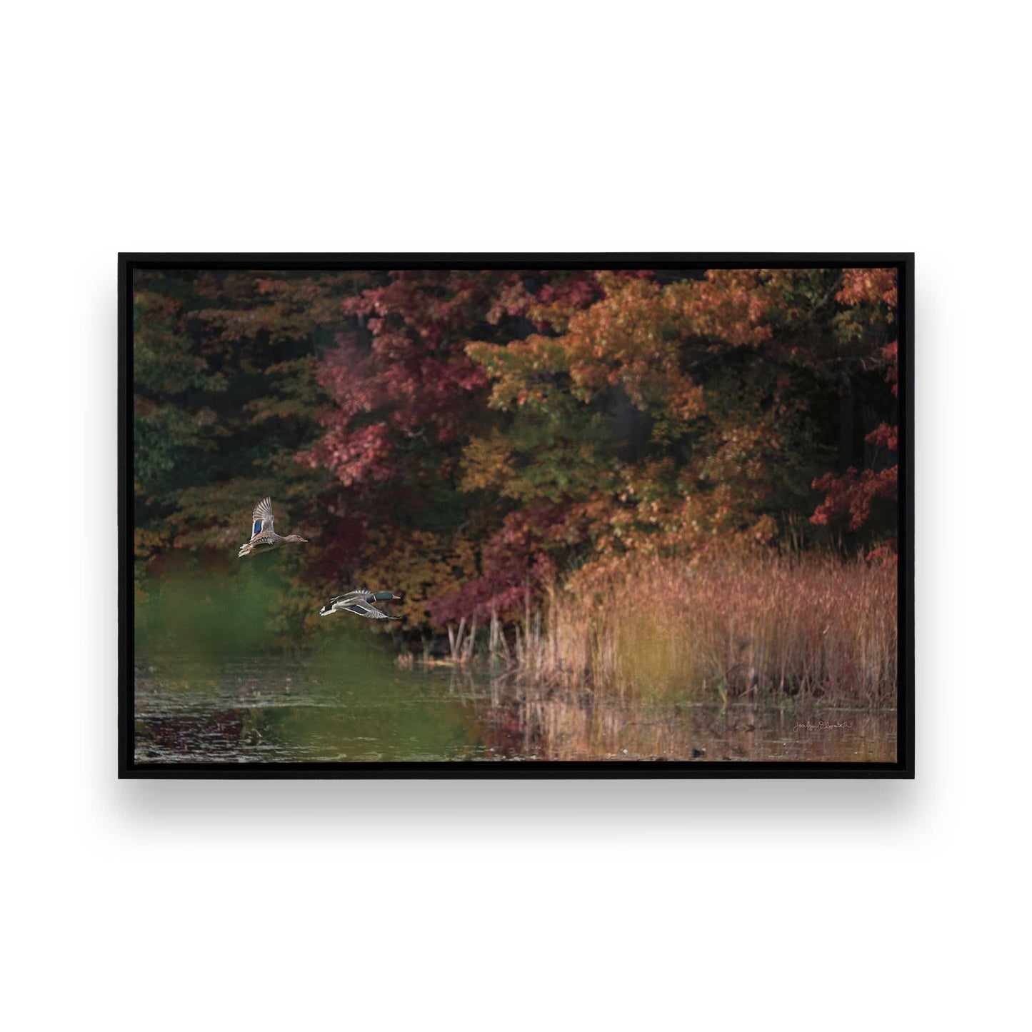 [Color:Satin Black], Picture of art in a Satin Black frame