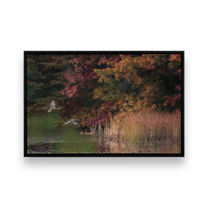 [Color:Satin Black], Picture of art in a Satin Black frame