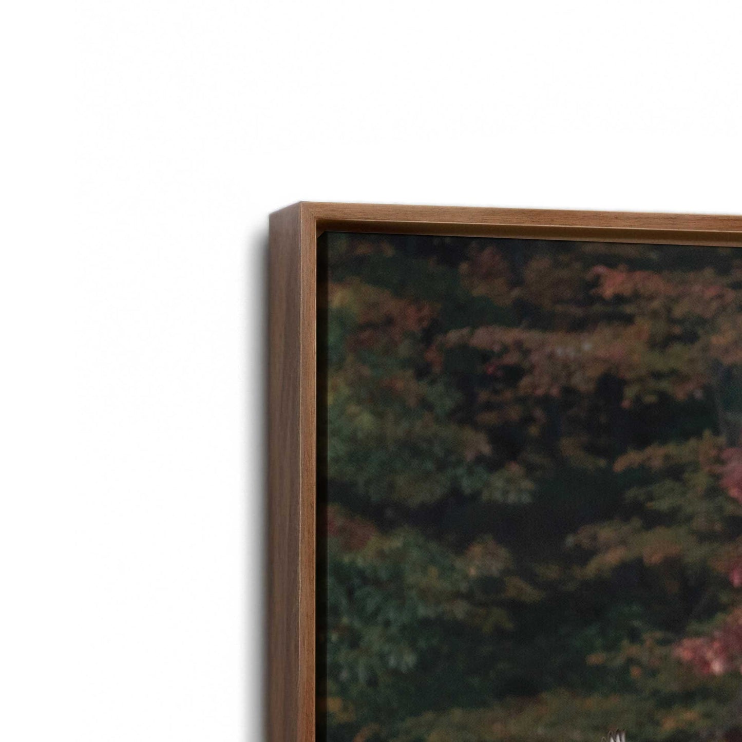 [Color:Walnut], Picture of art in a Walnut frame at an angle