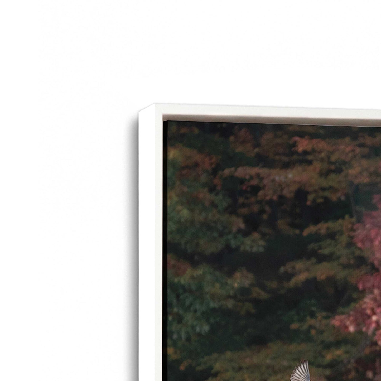 [Color:Opaque White], Picture of art in a White frame at an angle
