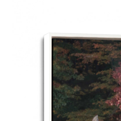 [Color:Opaque White], Picture of art in a White frame at an angle