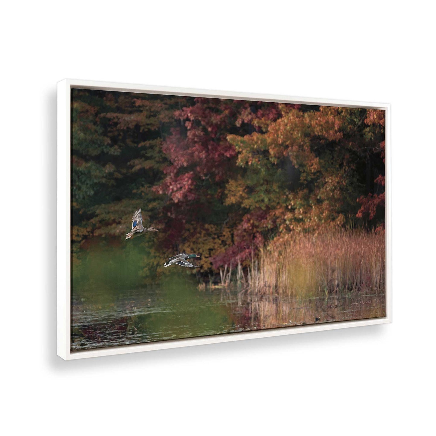 [Color:Opaque White], Picture of the corner of the art