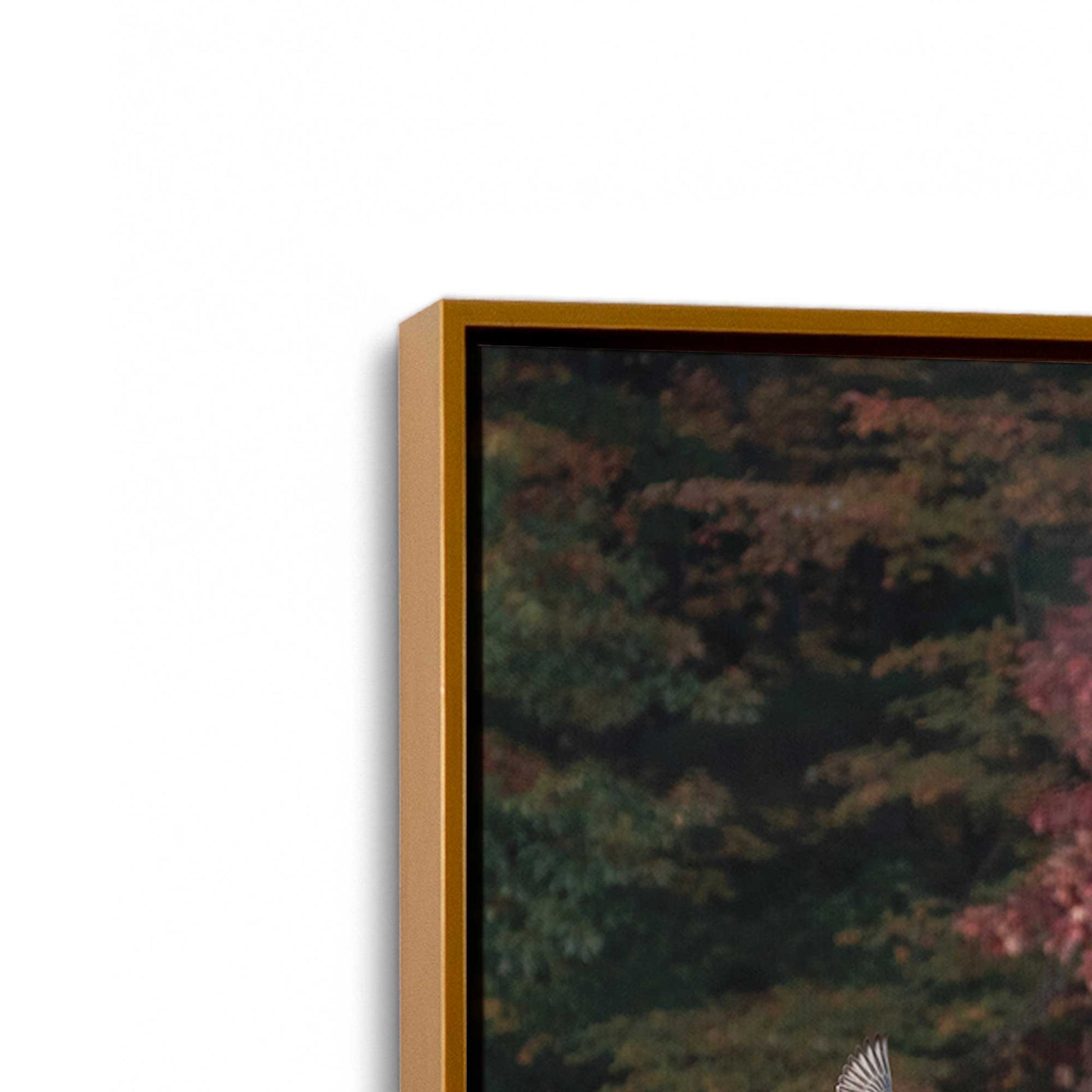 [Color:Polished Gold], Picture of art in a Polished Gold frame at an angle