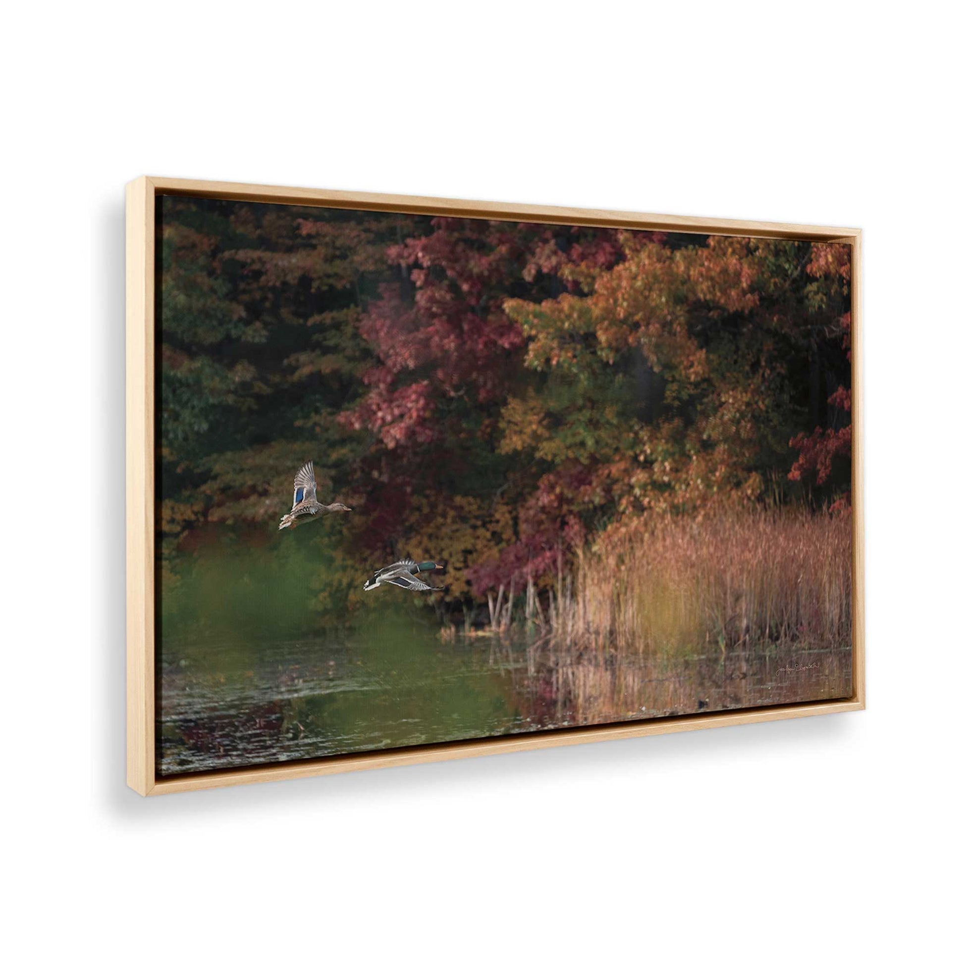 [Color:American Maple], Picture of the corner of the art