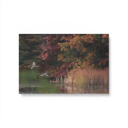 [Color:Stretched Canvas], Picture of art