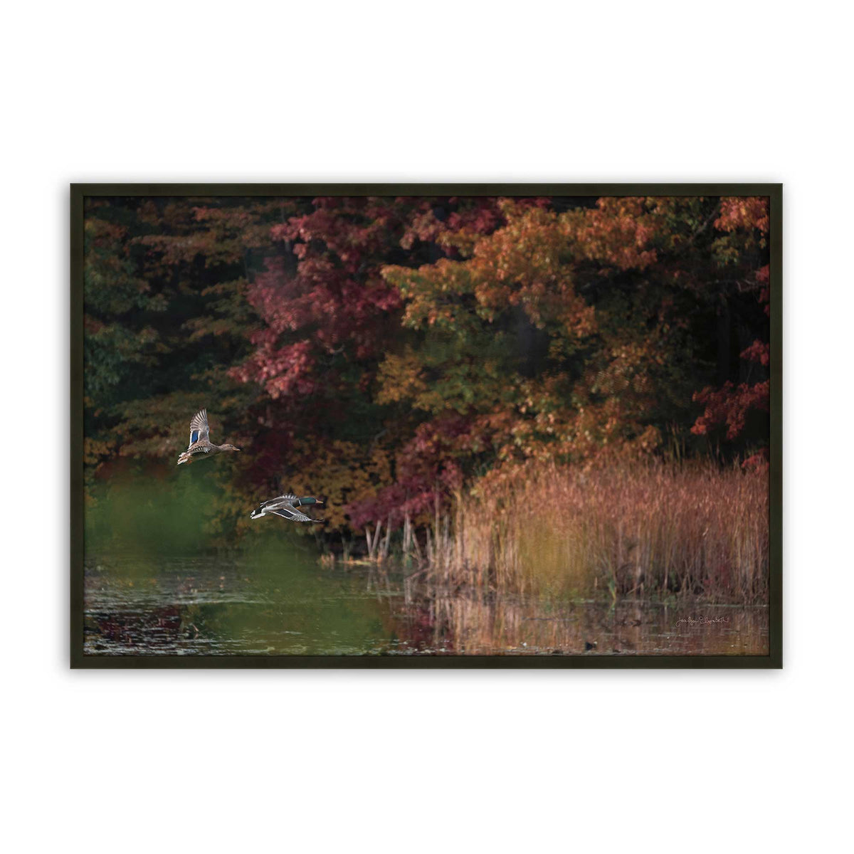 [Color:Satin Black], Picture of art in a Satin Black frame