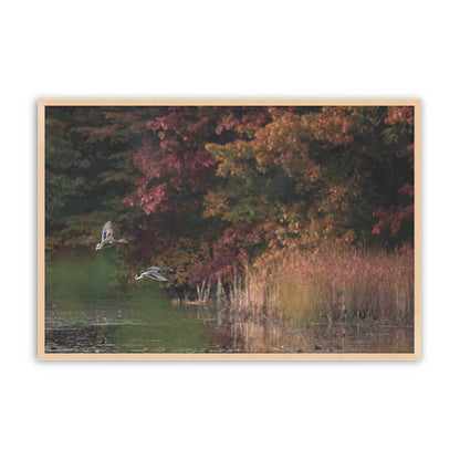 [Color:Raw Maple], Picture of art in a Raw Maple frame