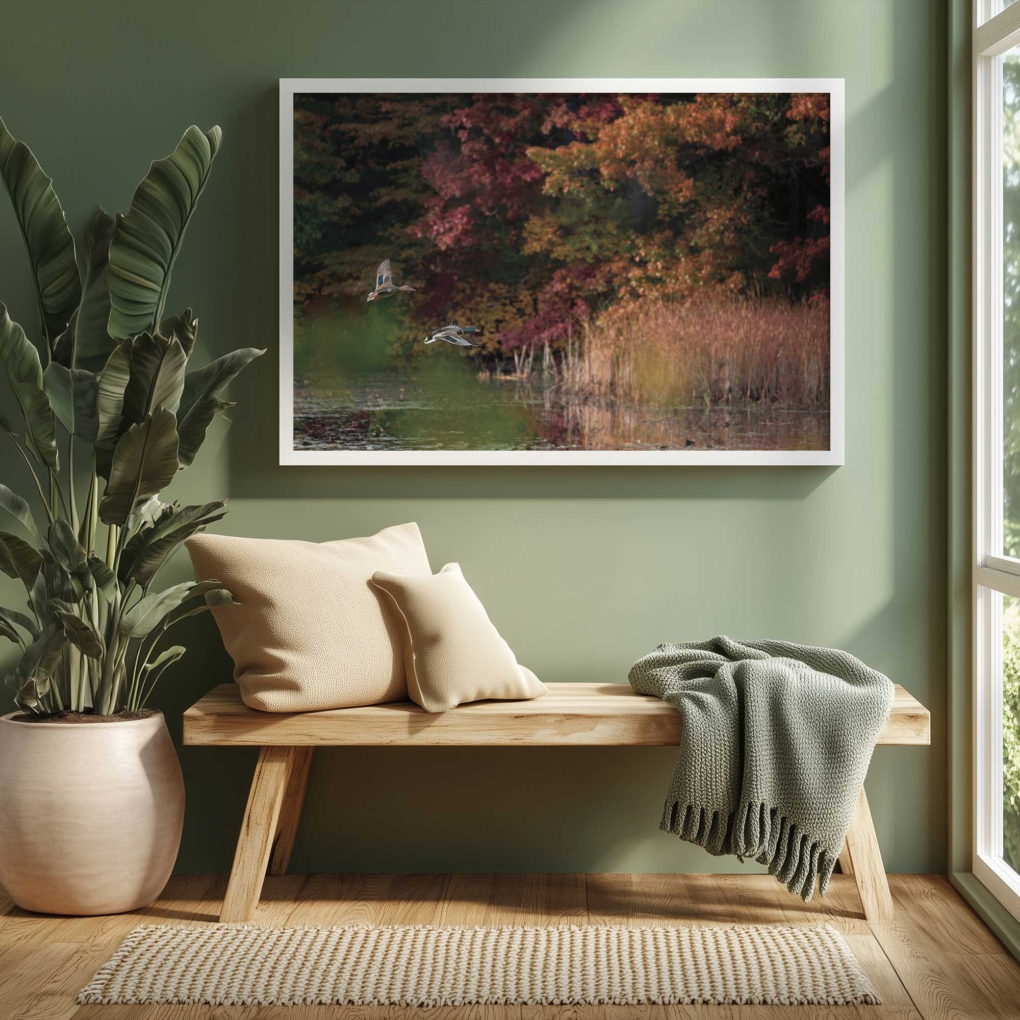 Flying ducks over autumn pond framed art print hanging above a bench in a green entryway