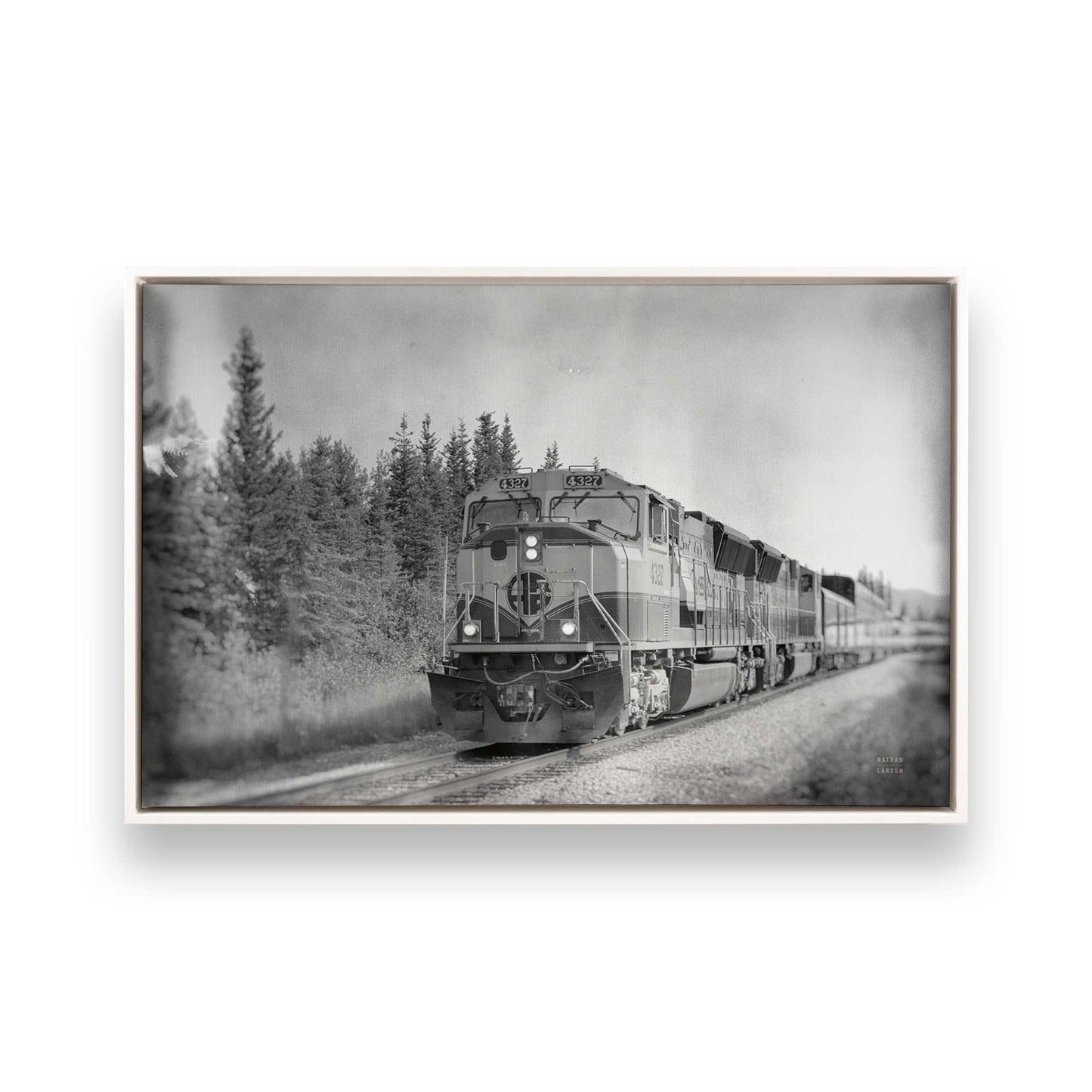 [Color:Opaque White], Picture of art in a White frame