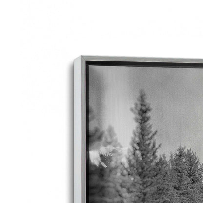 [Color:Polished Chrome], Picture of art in a Polished Chrome frame at an angle