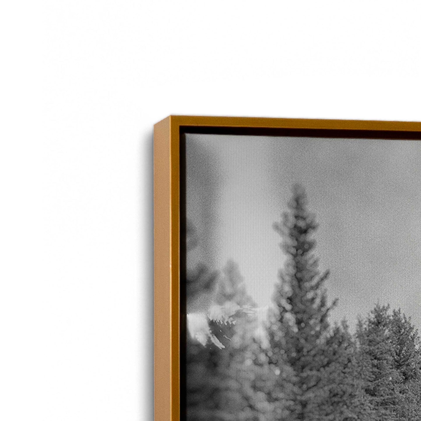 [Color:Polished Gold], Picture of art in a Polished Gold frame at an angle