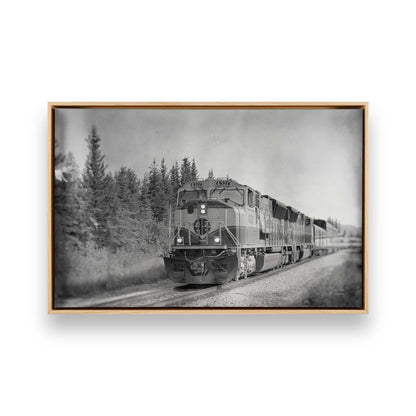 [Color:American Maple], Picture of art in a American Maple frame