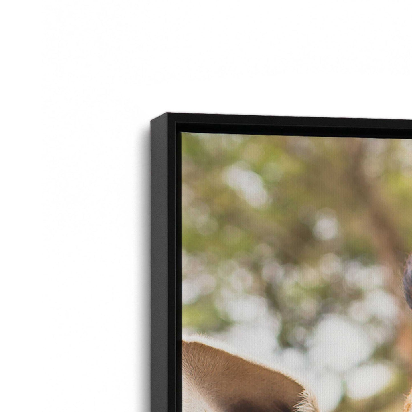 [Color:Satin Black], Picture of art in a Satin Black frame at an angle