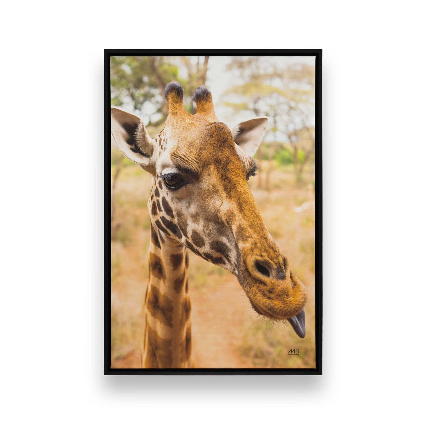 [Color:Satin Black], Picture of art in a Satin Black frame