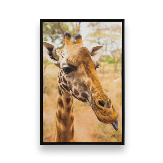 [Color:Satin Black], Front of the art