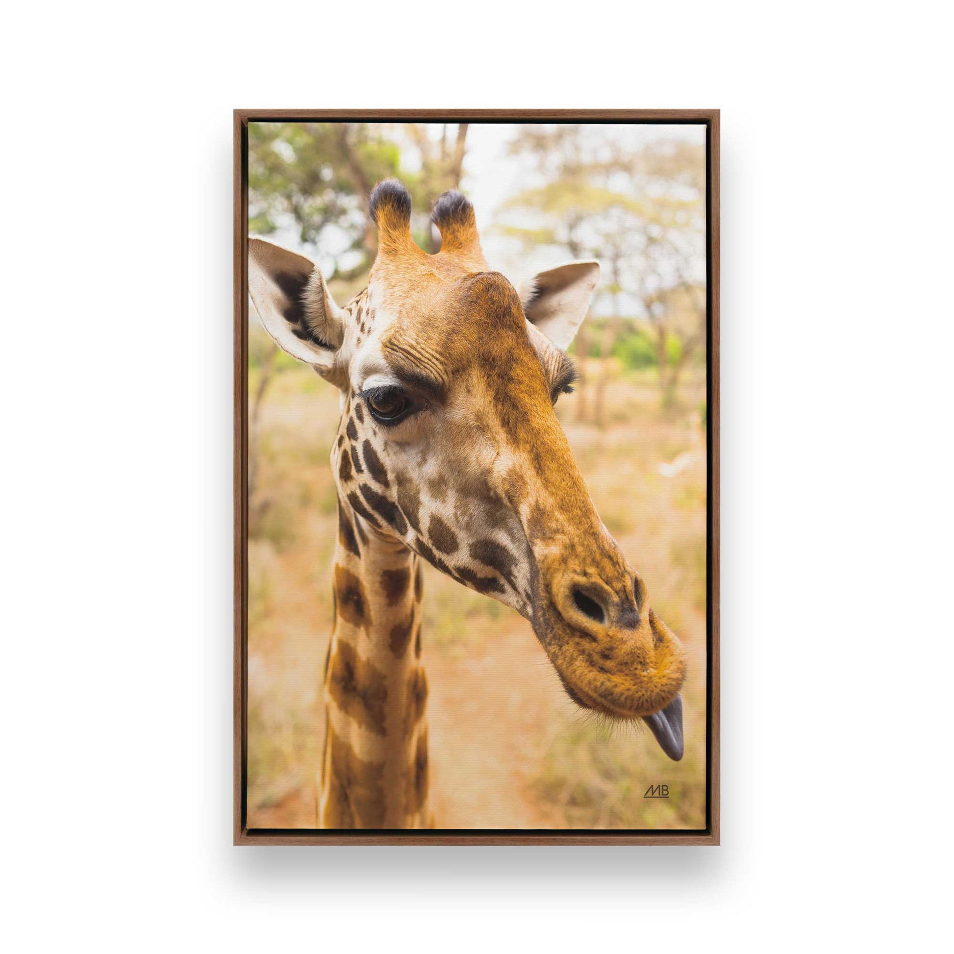 [Color:Walnut], Picture of art in a Walnut frame