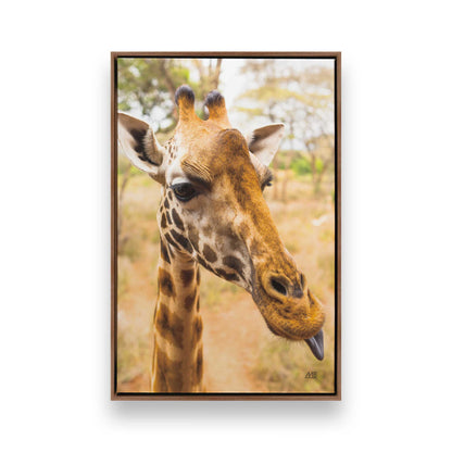 [Color:Walnut], Picture of art in a Walnut frame