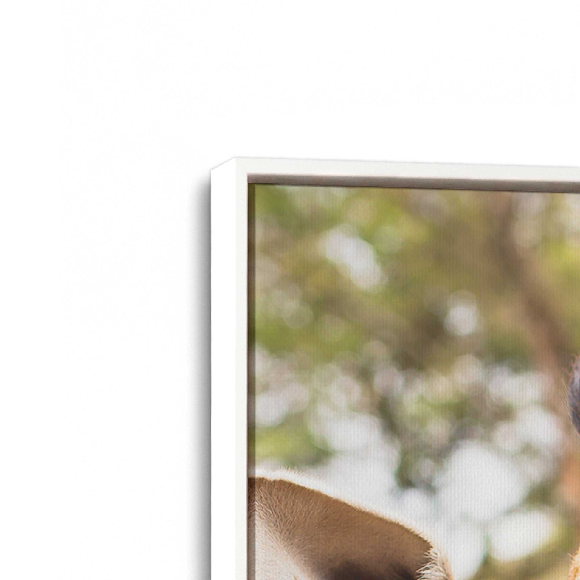 [Color:Opaque White], Picture of art in a White frame at an angle