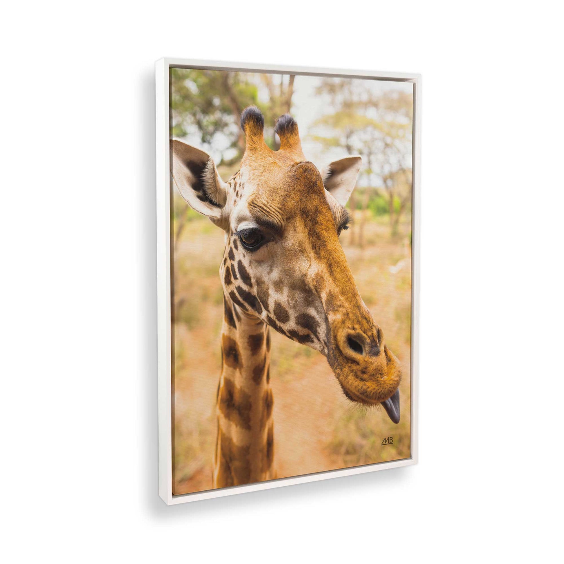 [Color:Opaque White], Picture of the corner of the art