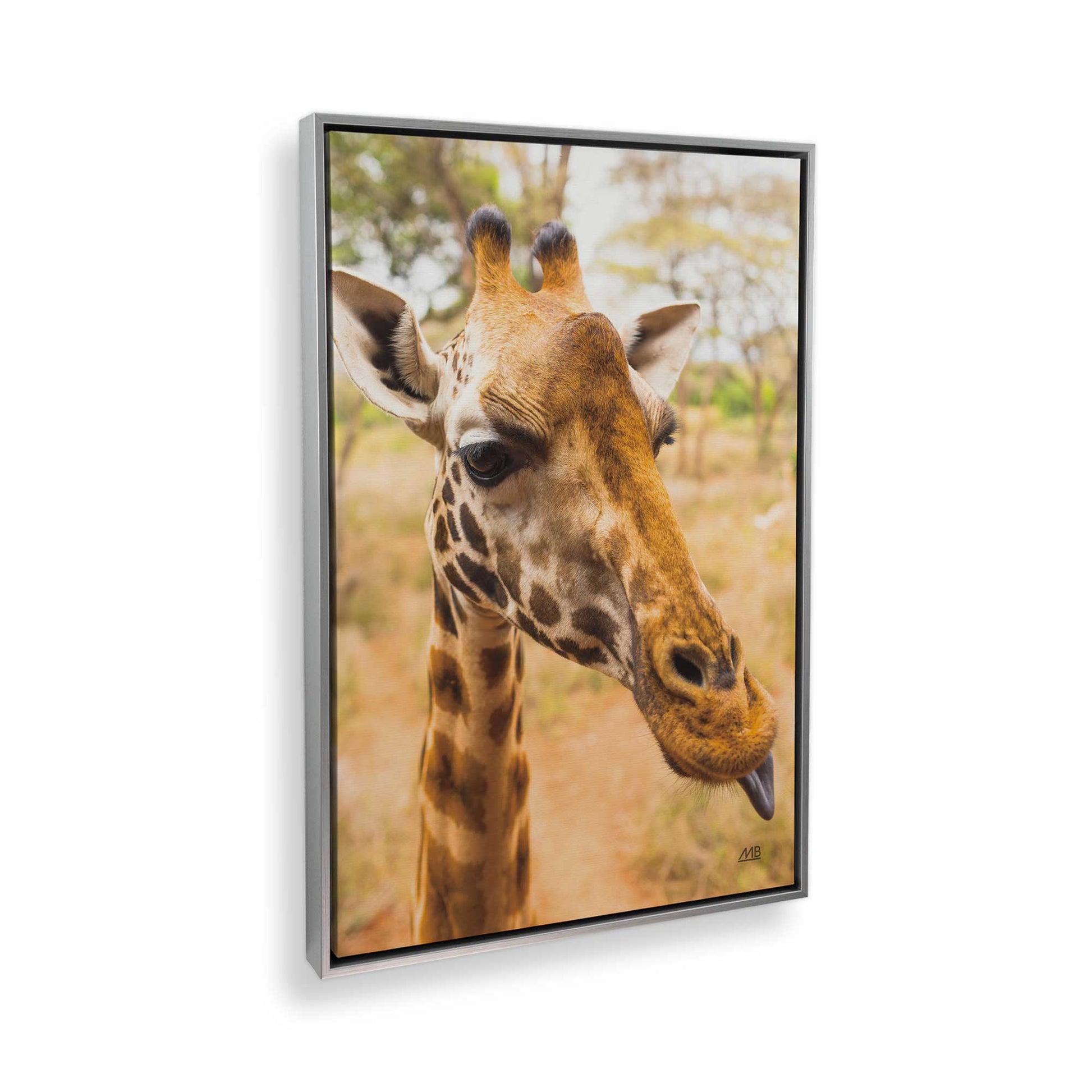 [Color:Polished Chrome], Picture of the corner of the art