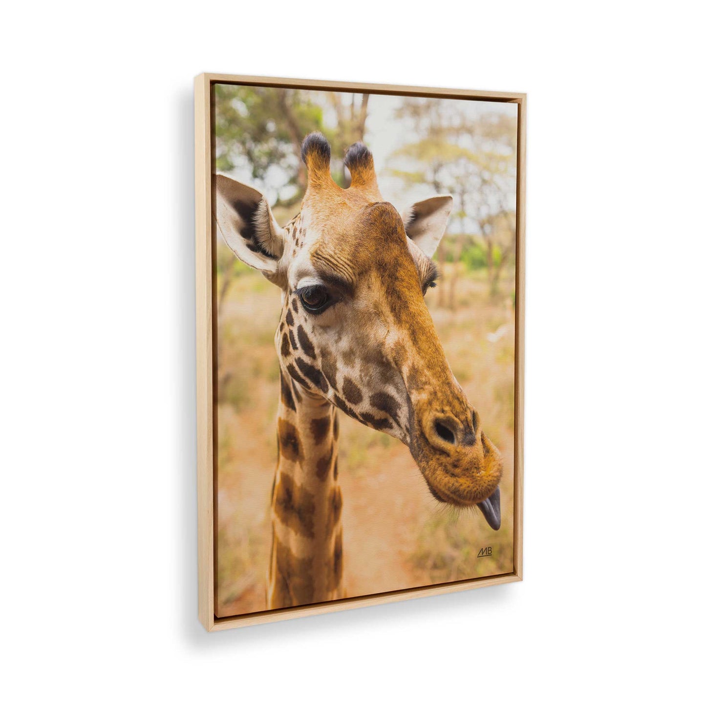 [Color:American Maple], Picture of the corner of the art