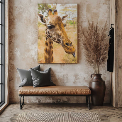 Picture of art in a room