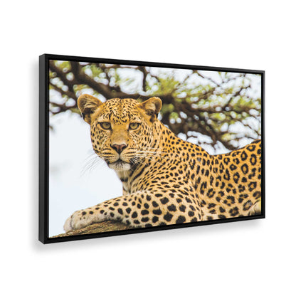 [Color:Satin Black], Picture of the corner of the art