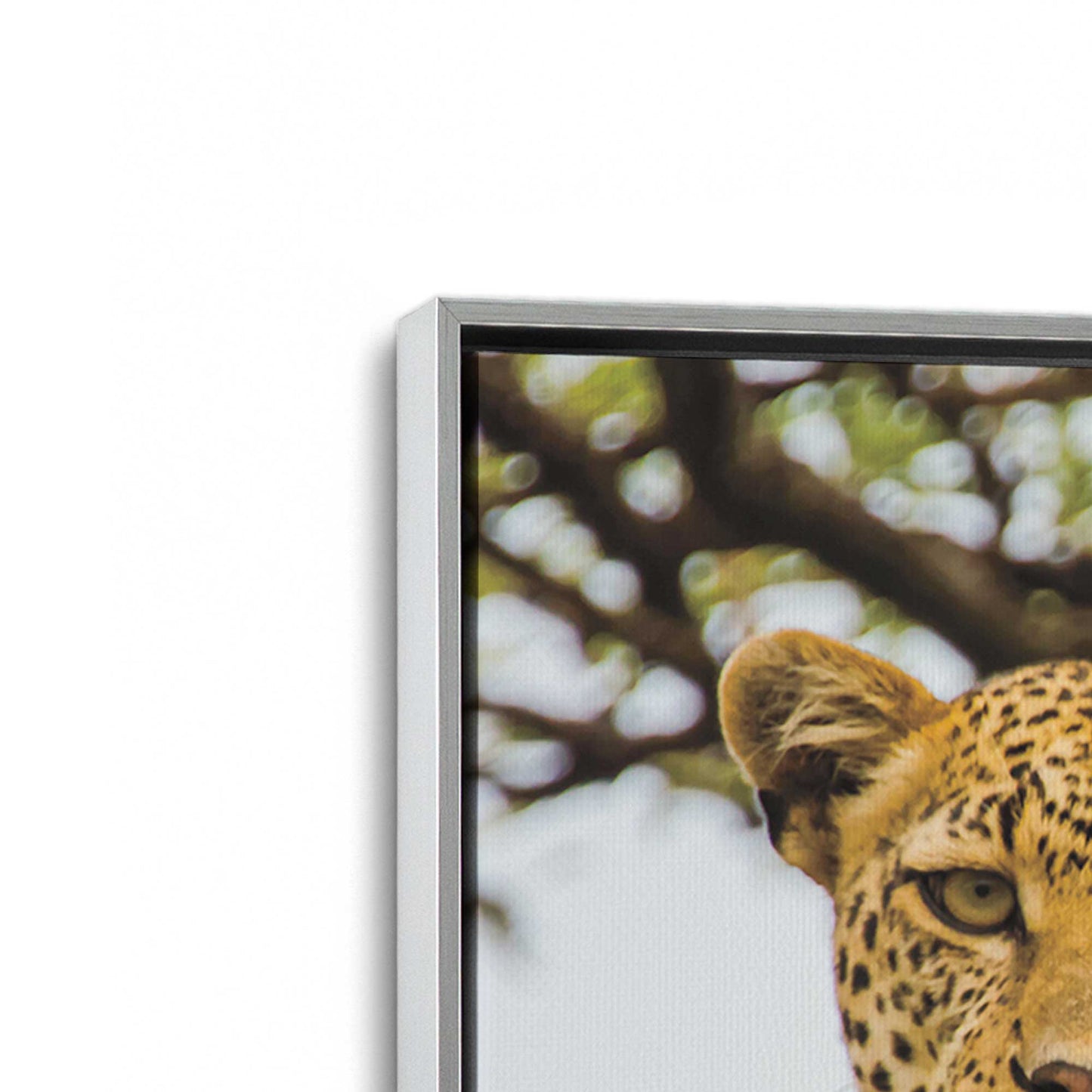 [Color:Polished Chrome], Picture of art in a Polished Chrome frame at an angle