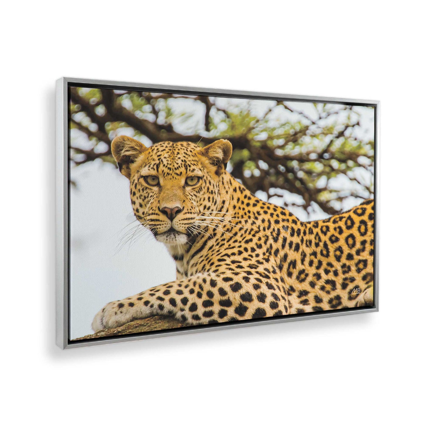 [Color:Polished Chrome], Picture of the corner of the art