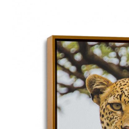 [Color:Polished Gold], Picture of art in a Polished Gold frame at an angle