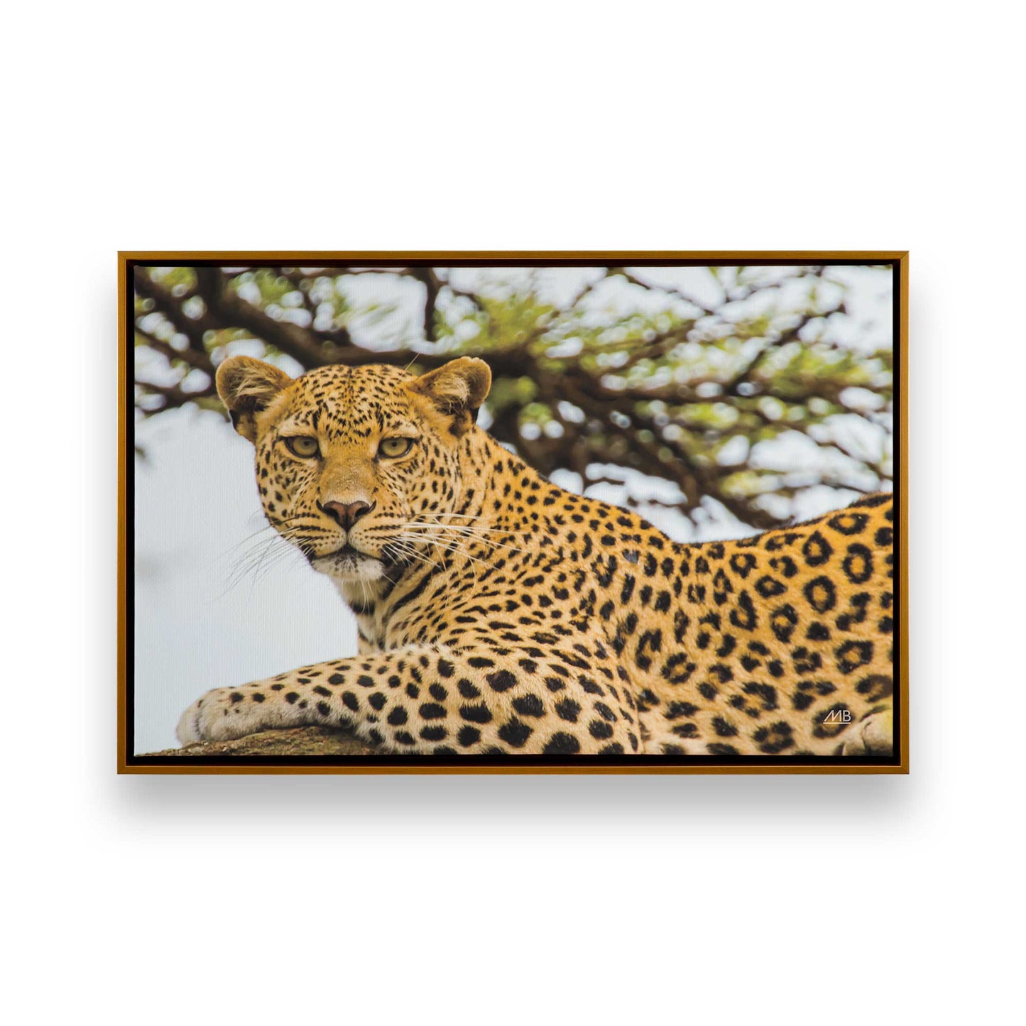 [Color:Polished Gold], Picture of art in a Polished Gold frame