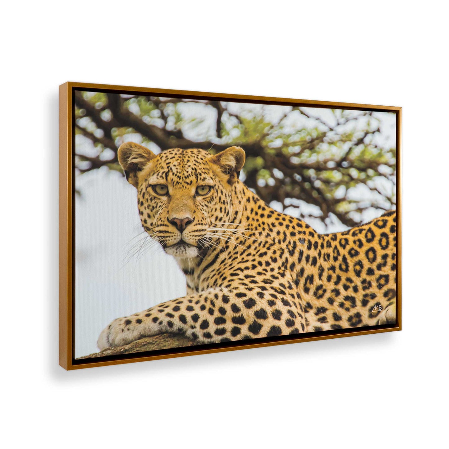 [Color:Polished Gold], Picture of the corner of the art