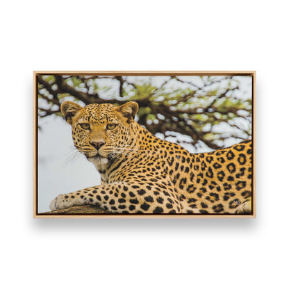 [Color:American Maple], Picture of art in a American Maple frame