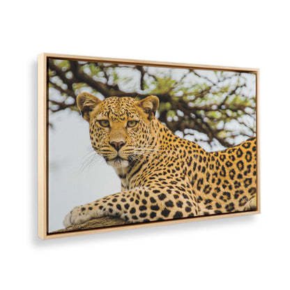 [Color:American Maple], Picture of the corner of the art