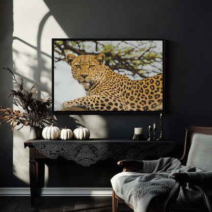 [LIFESTYLE],[SPECIAL],