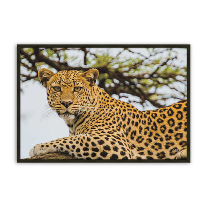 [Color:Satin Black], Picture of art in a Satin Black frame