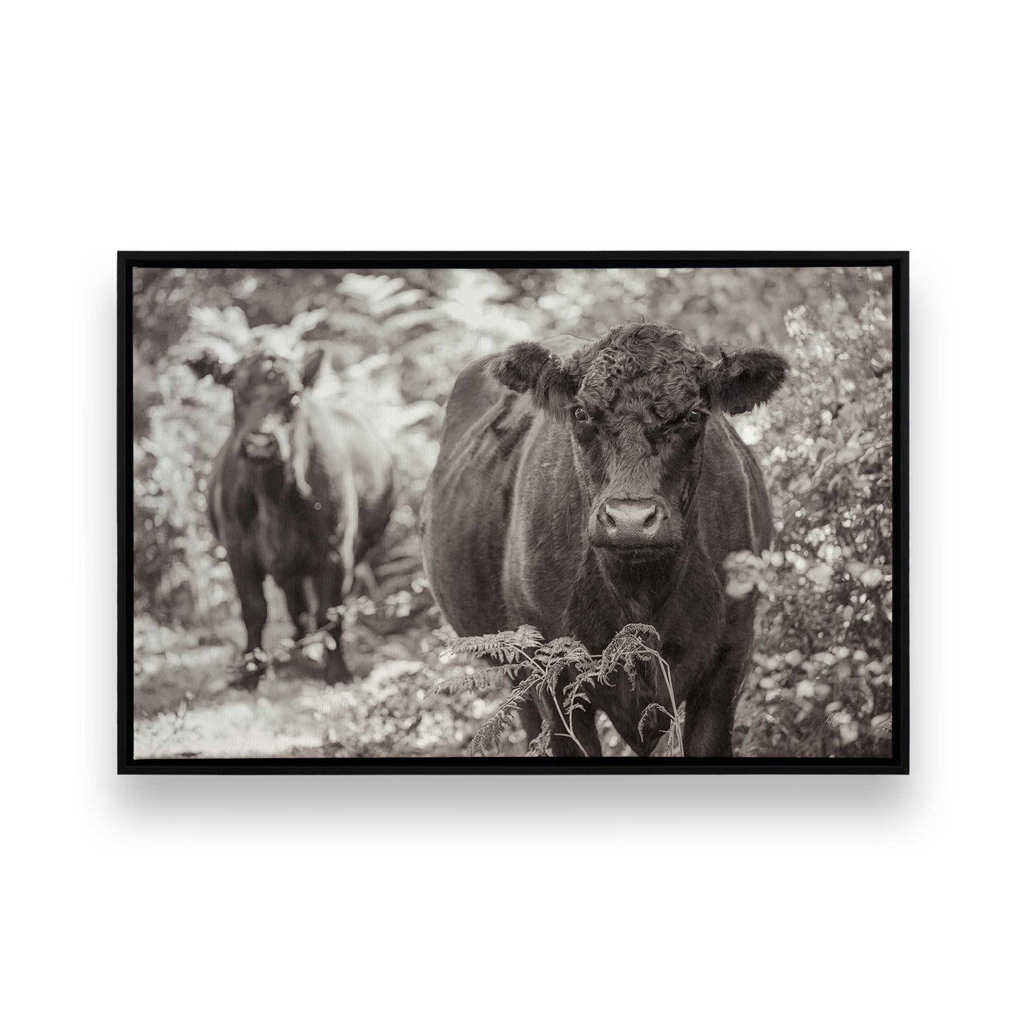 [Color:Satin Black], Picture of art in a Satin Black frame